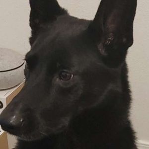 Meet your Posher, Taco